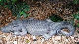 Crocodile Concrete Garden Statue Ornament ~ PICKUP ONLY
