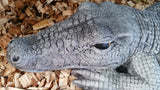 Crocodile Concrete Garden Statue Ornament ~ PICKUP ONLY
