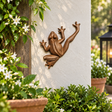 Cast Iron Frog Wall Hanger Decor