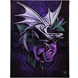 Anne Stokes Dragon Beauty Wall Scroll