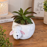 Ceramic Lamb Plant Pot with Succulent Garden Ornament
