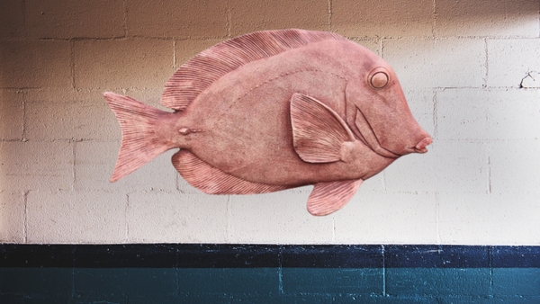 Fish Wall Plaque Concrete Statue