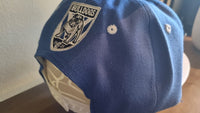 NRL Canterbury Bulldogs Junior Supporter Flat Cap Hat