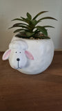 Ceramic Lamb Plant Pot with Succulent Garden Ornament