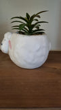 Ceramic Lamb Plant Pot with Succulent Garden Ornament