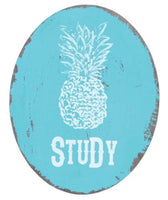 SPLOSH FIESTA PINEAPPLE TURQUOISE STUDY HOME OFFICE DOOR WALL PLAQUE SIGN DECOR - The Bowerbirds Nest of Treasures