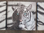 TIGER BLUE EYES SET OF 3 PRINT CANVAS WALL ART - The Bowerbirds Nest of Treasures