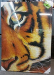SPLOSH WILD TIGER CANVAS WALL ART PICTURE HOME DECOR LAST ONE RRP $99 1/2 PRICE - The Bowerbirds Nest of Treasures