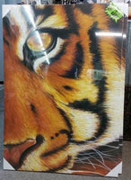 SPLOSH WILD TIGER CANVAS WALL ART PICTURE HOME DECOR LAST ONE RRP $99 1/2 PRICE - The Bowerbirds Nest of Treasures