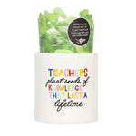 Splosh Teacher Seeds Pot Plant